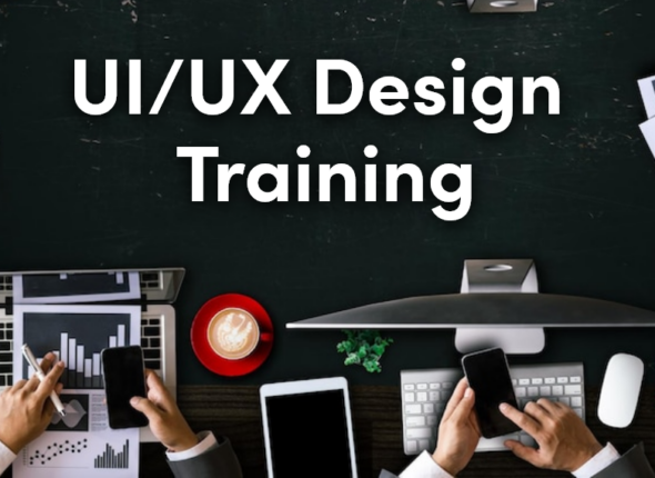 UI/UX Design Training